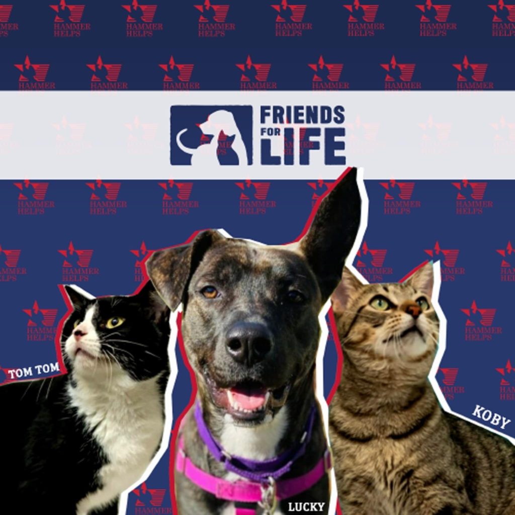 Friends For Life Animal Shelter