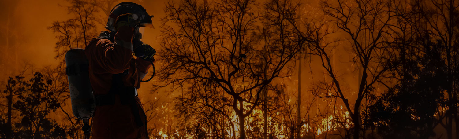 Texas Panhandle Wildfire [2024]: Why You Might Need a Lawyer